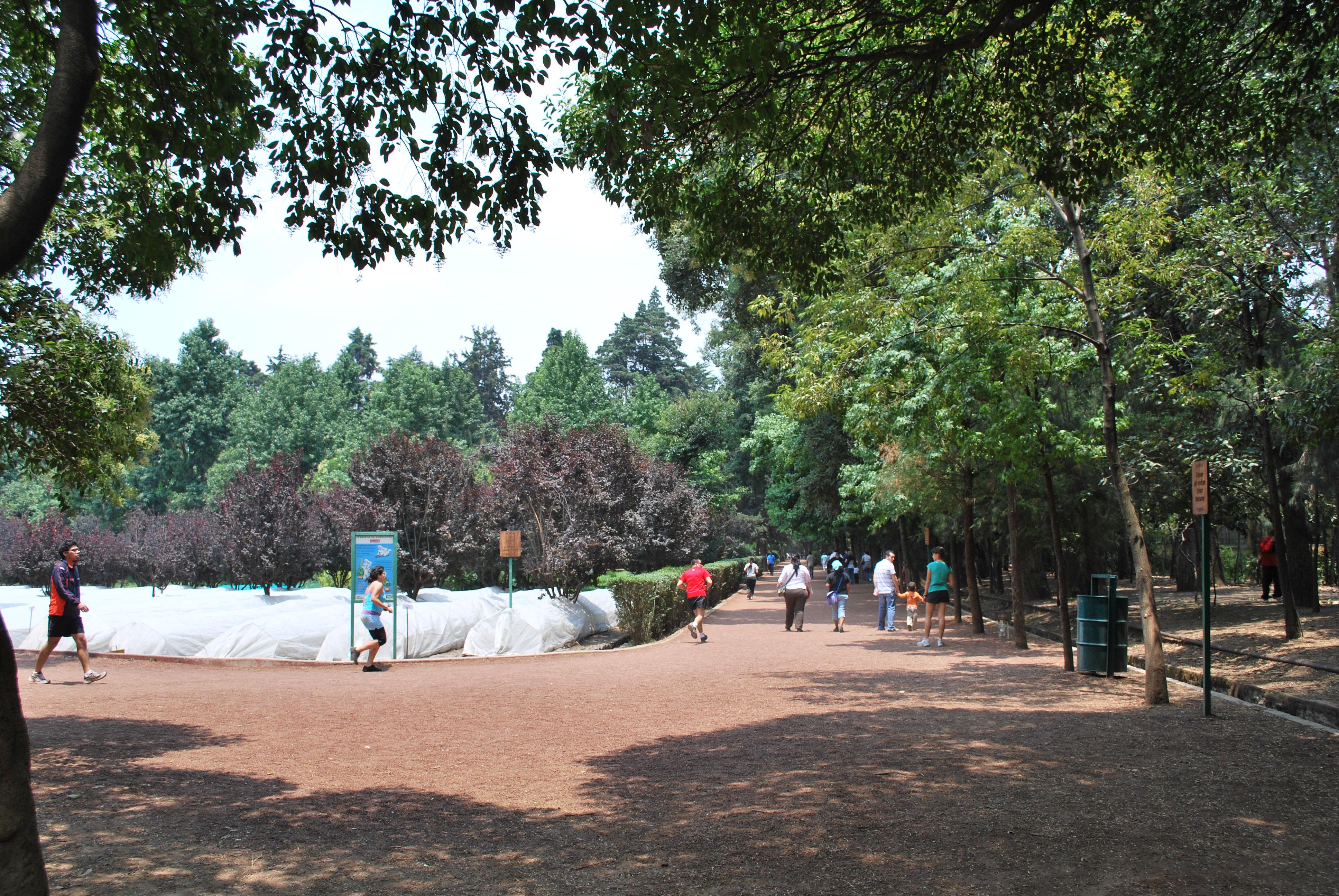 Jardín Centenario